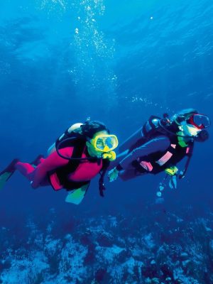 Shop Online Antalya Diving Tour With Lunch And Transfer – Recently Added Experiences Dubai Masala