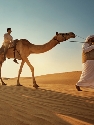 Shop Online Camel Trekking Experience In Abu Dhabi With Transfers In Land Cruiser – Top-Rated Attractions Dubai Masala