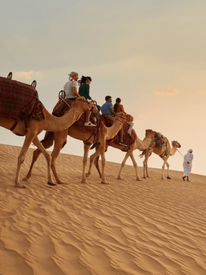 Shop Online Dubai Sunset Safari Delight with BBQ dinner and camel ride – Desert safaris Dubai Masala