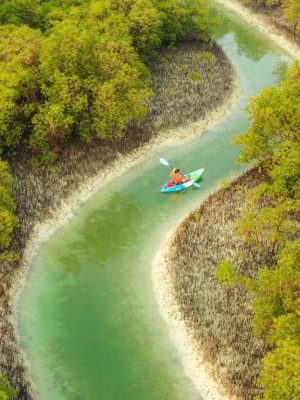 Shop Online Guided Kayak Tour in the Reem Central Park Mangroves – Water Sports Dubai Masala