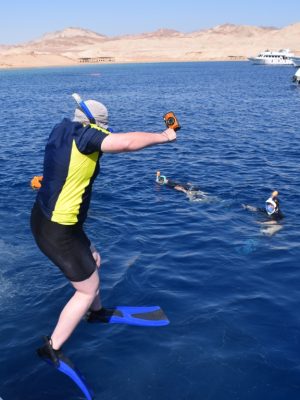 Shop Online Half-day Snorkeling Boat trip with lunch and drinks from Sharm El Sheikh – Sightseeing and Tours Dubai Masala