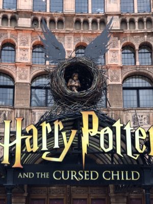 Shop Online Harry Potter Studio Tour departure from Kings Cross Station – Recently Added Experiences Dubai Masala