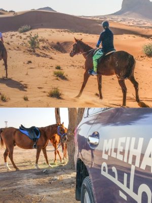 Shop Online Horse Back Riding Desert Hack – Sports Events Dubai Masala