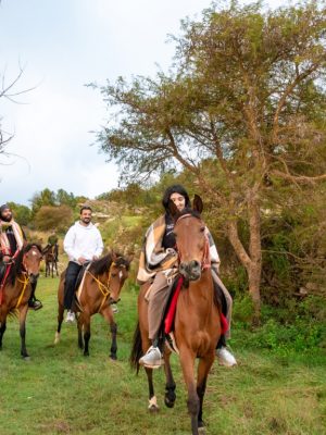 Shop Online Horse Riding Experience – Recently Added Experiences Dubai Masala