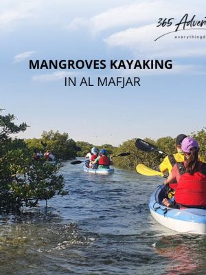 Shop Online MANGROVES EXPLORATION TOUR – AL MAFJAR – Outdoor Attractions Dubai Masala