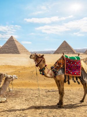 Shop Online Cairo: Fun around the Giza Pyramids & Khan El Khalili Old Market – Sightseeing and Tours Dubai Masala