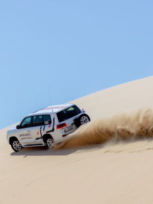 Shop Online Full Day Desert Safari with Al Majles Resort, Doha – Sightseeing and Tours Dubai Masala