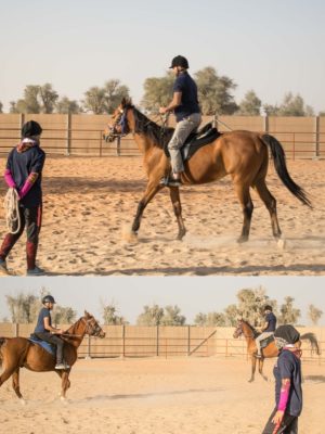 Shop Online Horse Riding Training Course One Session – Sports Events Dubai Masala