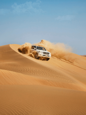 Shop Online Liwa Adventure: A Desert Safari Delight with Authentic Local Lunch – Desert safaris Dubai Masala