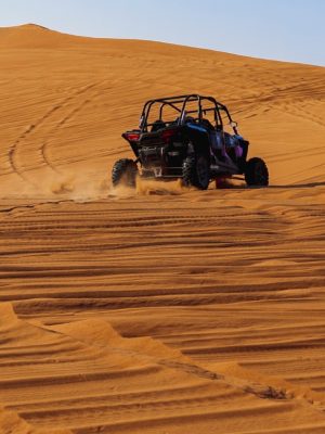 Shop Online Mleiha Landscapes Tour in Dune Buggy – Top-Rated Attractions Dubai Masala