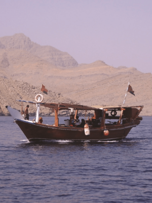 Shop Online Muscat Dolphin Cruise With Shared Transfers – Recently Added Experiences Dubai Masala