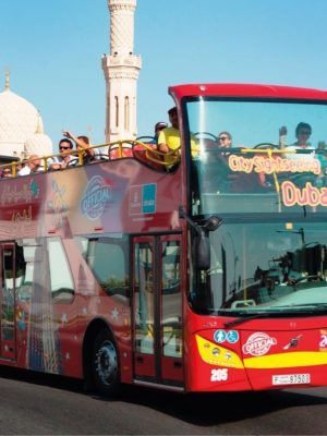 Shop Online 3 Day Hop On Hop Off Ticket with Aquaventure Super Pass and Dhow Cruise – Attractions Special Offers Dubai Masala