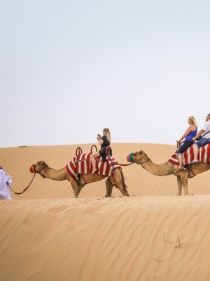 Shop Online Dubai: Quad Bike Safari, Camel Ride and Refreshments – Desert safaris Dubai Masala