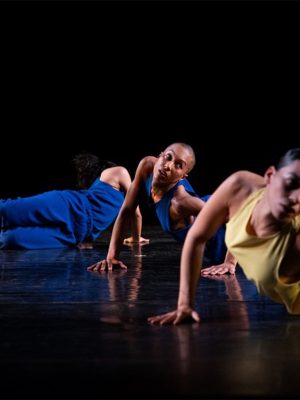 Shop Online In The Fall | Working Title – Trisha Brown Dance Company – Shows and Theatrical Plays Dubai Masala