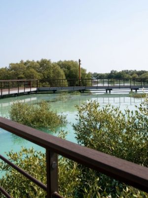 Shop Online Jubail Mangrove Park – Boardwalk Experience – Recently Added Experiences Dubai Masala