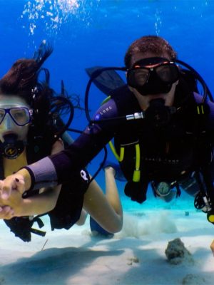 Shop Online Scuba Diving Tour – Recently Added Experiences Dubai Masala