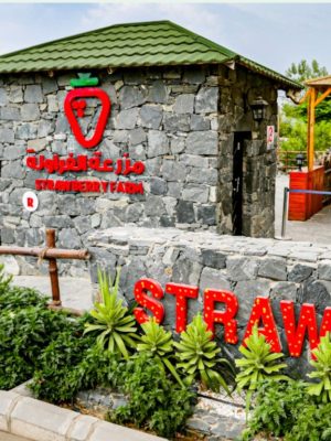 Shop Online Strawberry Farm – Top-Rated Attractions Dubai Masala