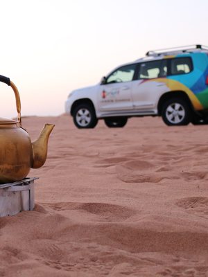 Shop Online Sunrise and Wildlife Experience in the Desert – Desert safaris Dubai Masala