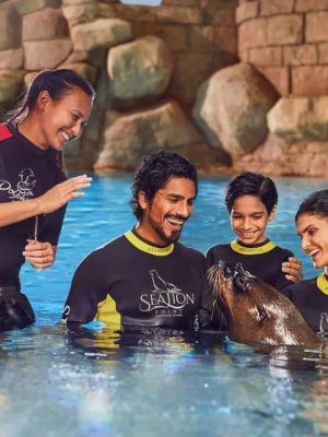 Shop Online Dolphin Bay Experiences – Water Parks Dubai Masala